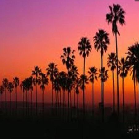 Venice Beach Apartments Monthly Rents Los Ángeles Exterior foto