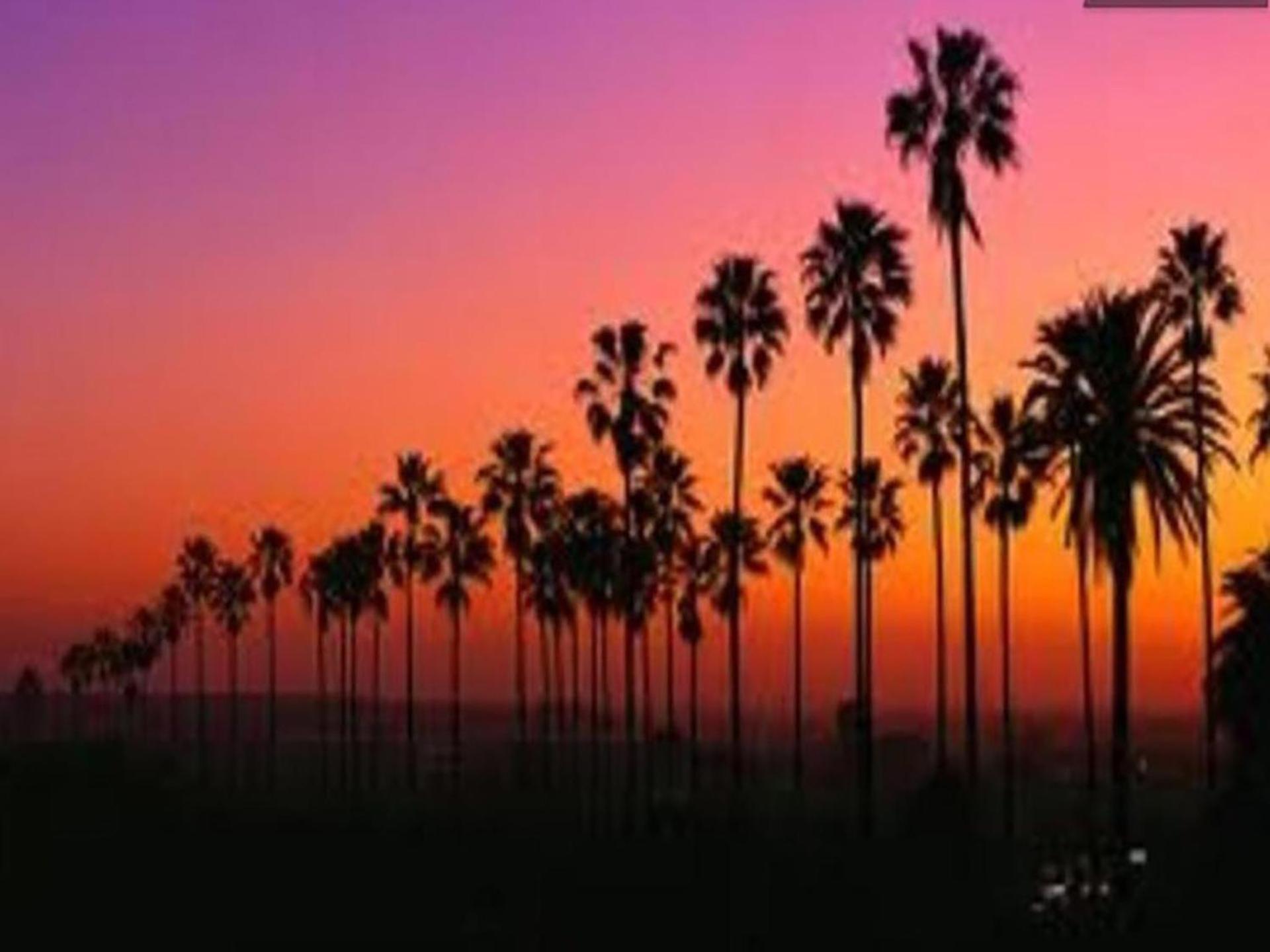 Venice Beach Apartments Monthly Rents Los Ángeles Exterior foto